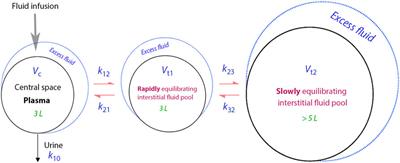 Sequential recruitment of body fluid spaces for increasing volumes of crystalloid fluid